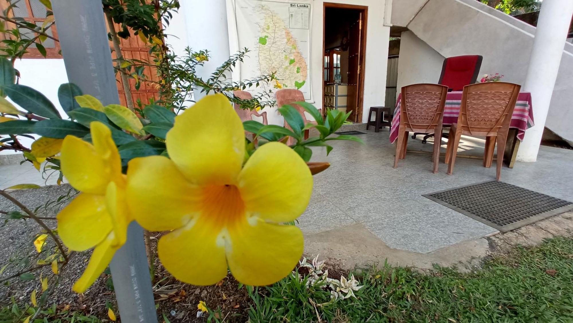 Family Resort Udawalawe Exterior foto